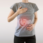 Från topp till tå – Levern, gallblåsan och bukspottskörteln